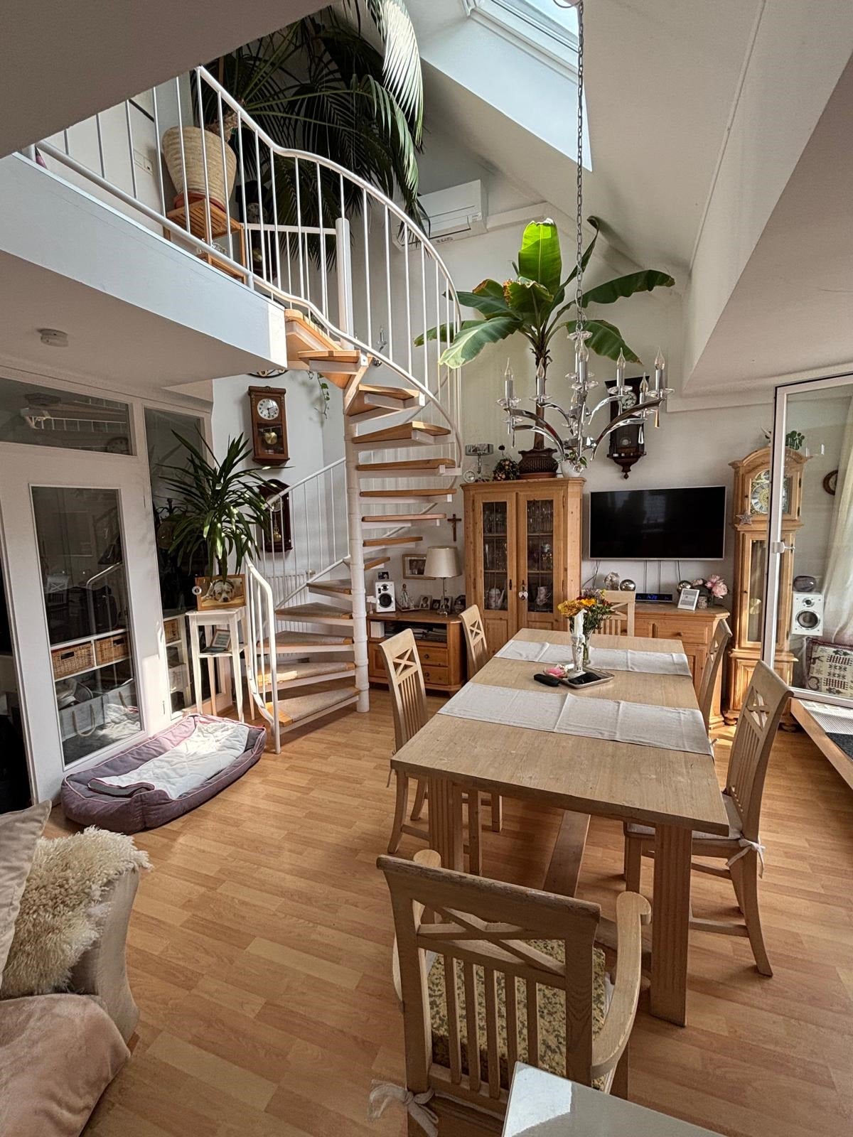 Foto - 1749037026428